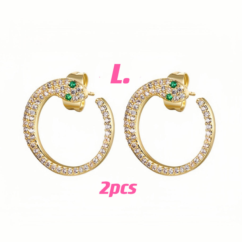 Fashion Earring Set